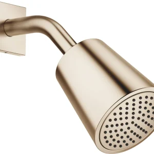 Achat Immédiat Pomme de douche à rotule Dornbracht ½" Champagne brossé